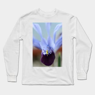 Iris histrioides  &#39;Halkis&#39;  Reticulata Long Sleeve T-Shirt